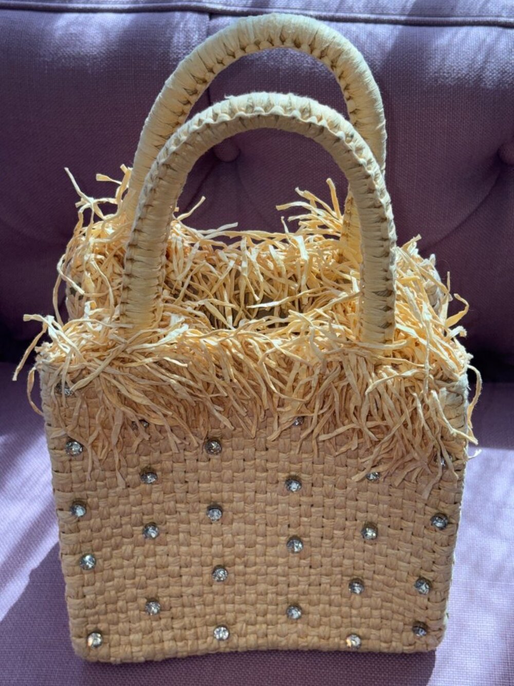 Pamela Munson check mate mini sparkle bag in Natural New Tote Purse - Picture 5 of 12